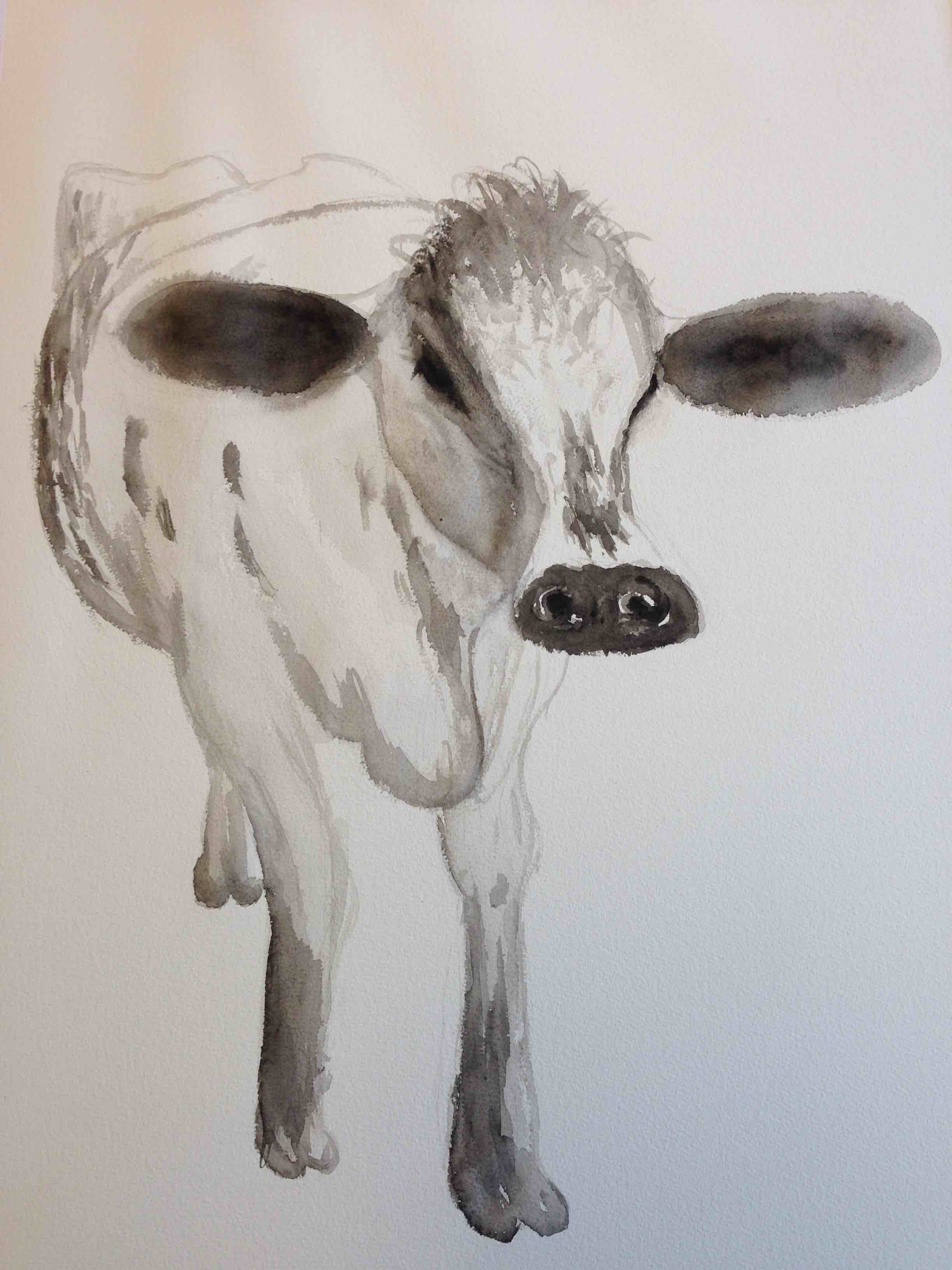 Cow2